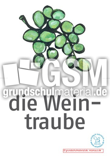 Bildkarten_d_Obst 13.pdf